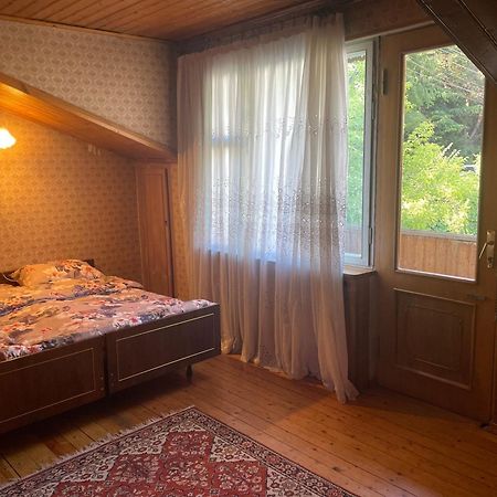Guest House Raisa Dilijan Luaran gambar